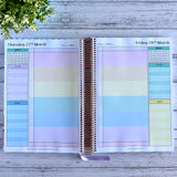 Breezy Palms Daily Teacher Planner 2025