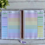 Picnic Daily Teacher Planner 2026 PREORDER