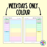 2025 Breezy Palms DAILY Printable Planner - DIGITAL DOWNLOAD